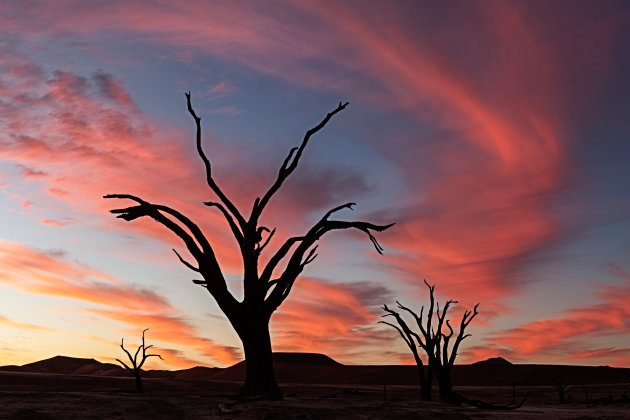 Mooie zonsondergang met 'Camel Thorn Trees' in Dead Vlei