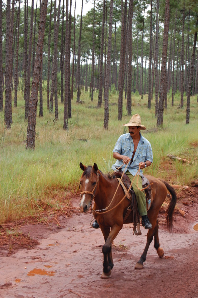 Cubaanse Cowboy op zijn paard