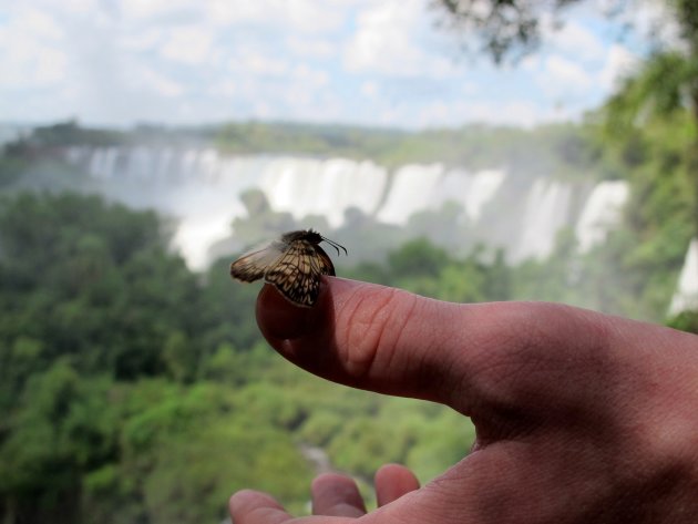 Iguazu watervallen op de achtergrond