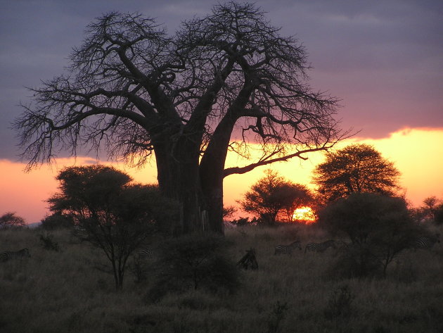 Tanzania, landschap