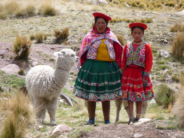 Peruaanse vrouwen met Alpaca