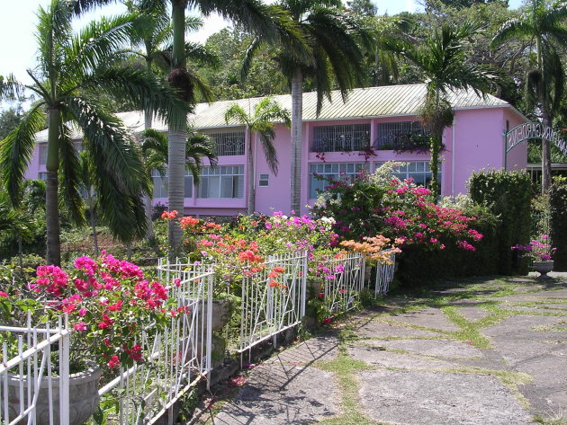 Roze huis te midden van prachtige vegetatie op Jamaica