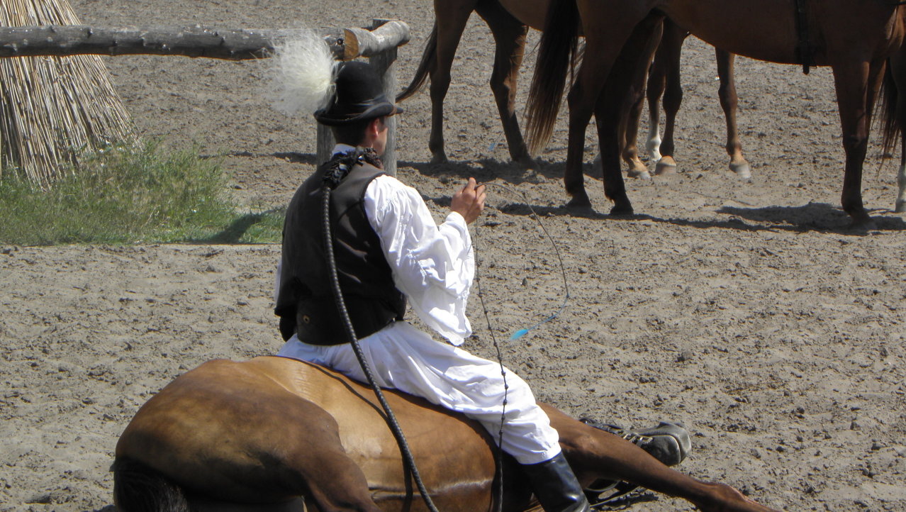 Bugac Puszta (paardemennen)