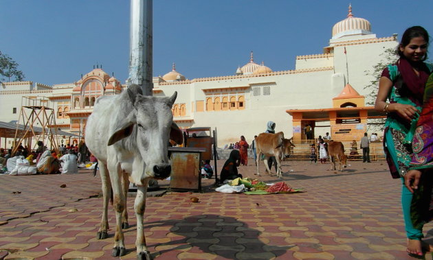 tempelplein Ram Raja Orchha