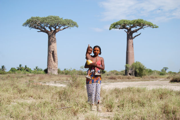 Tussen de Twee baobabs