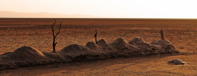 Sahara Sel