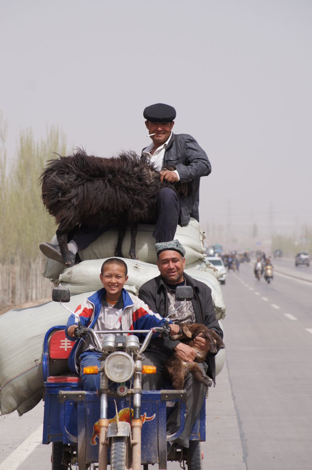 Trotse veehandelaren op de weg in Kashgar