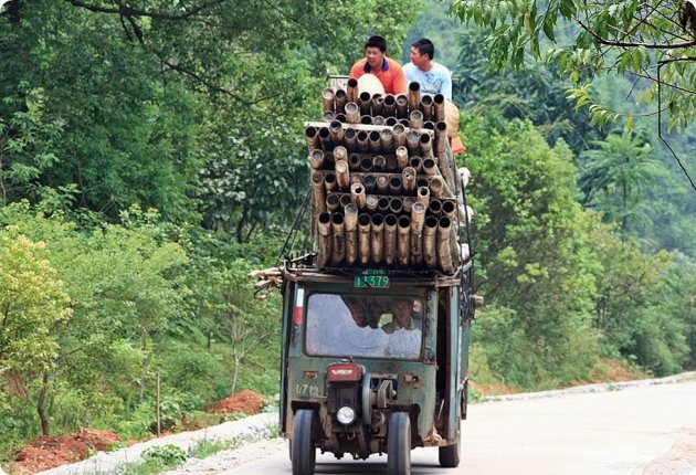 bamboe vervoeren