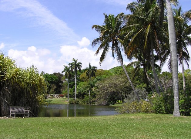  Fairchild Tropical Botanic Garden