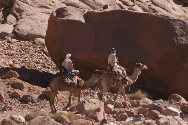 Woestijn vervoer