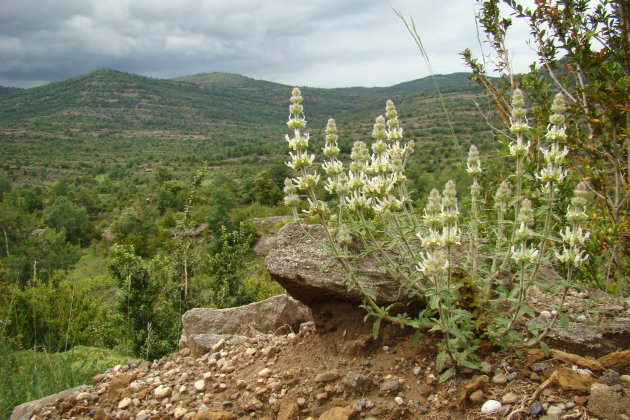 Sierra Guara