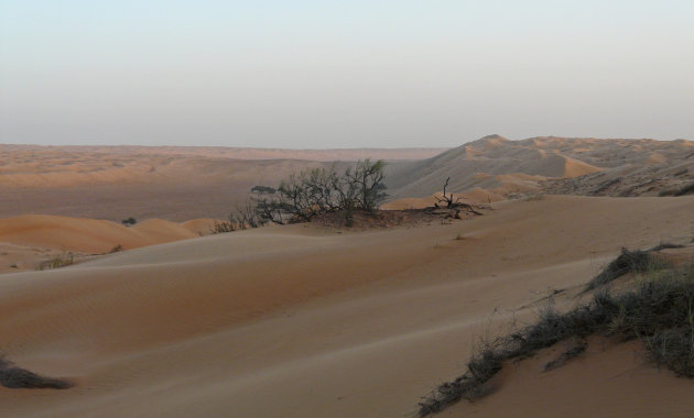 Woestijn avontuur