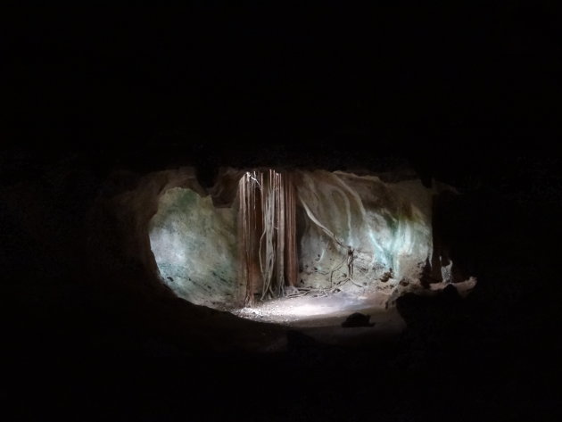 Verrassende grot Cueva Ambrosio