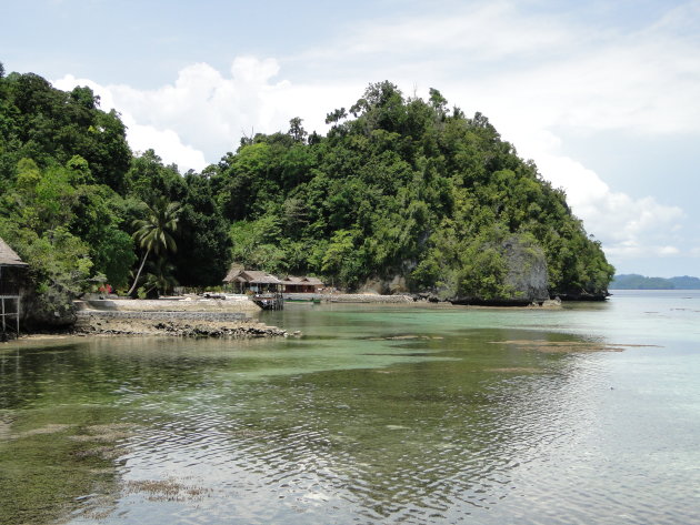 the togean