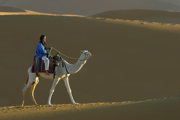 kameel met ruiter in woestijn