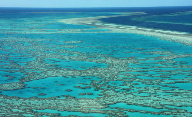 Great barrier reef from the sky..