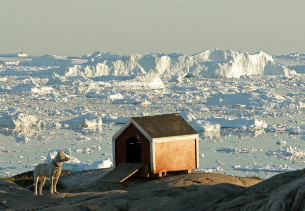 Uitzicht over de baai met ijsbergen: het mooiste hondenhok staat in Groenland!