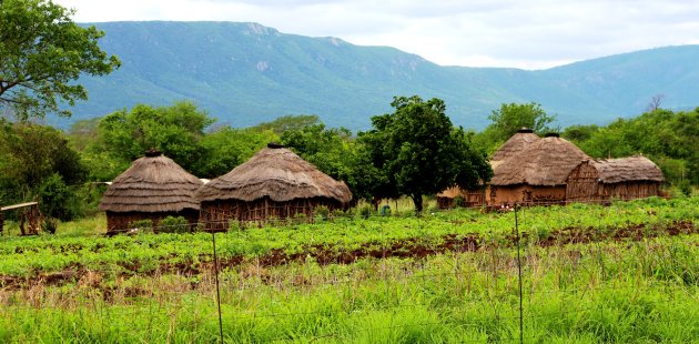 swazi dorp