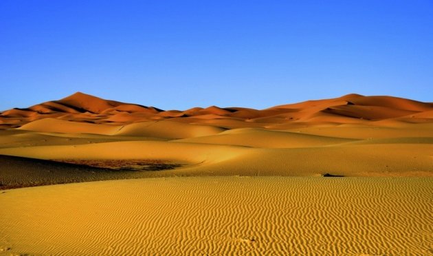woestijn 