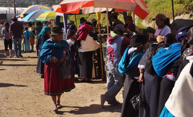 Dierenmarkt Otavalo