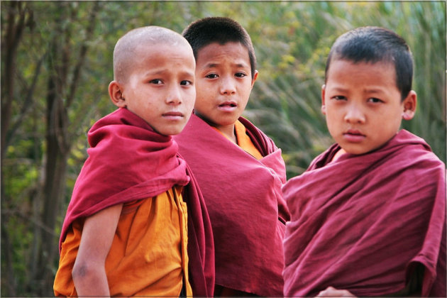 jonge monniken