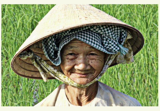 Oma in haar rijstveldje