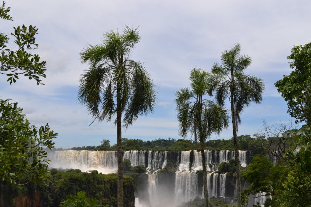 Cataras del Iguazu 