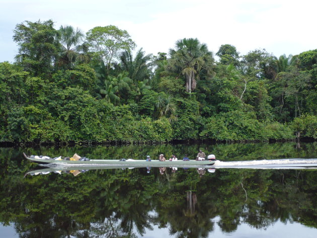 Het oerwoud van Suriname vanuit de Korjaal