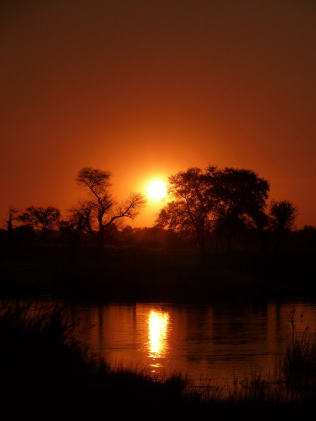 Zonsondergang aan de oever van de Okavango