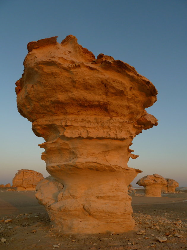'Paddestoelen' in de Witte Woestijn
