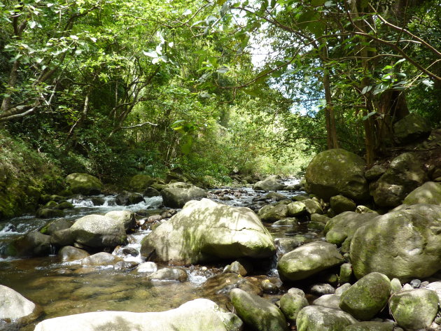 Riviertje in Iao Valley state park
