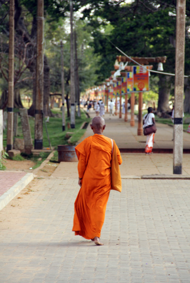 Monnik te Anuradhapura