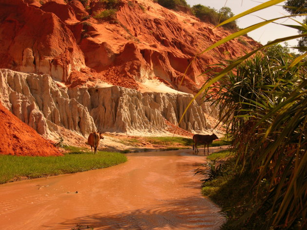 Red Canyon and the Fairy stream