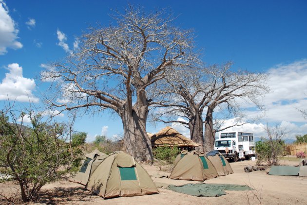 Kamperen onder de Baobab (Apenbrood) bomen