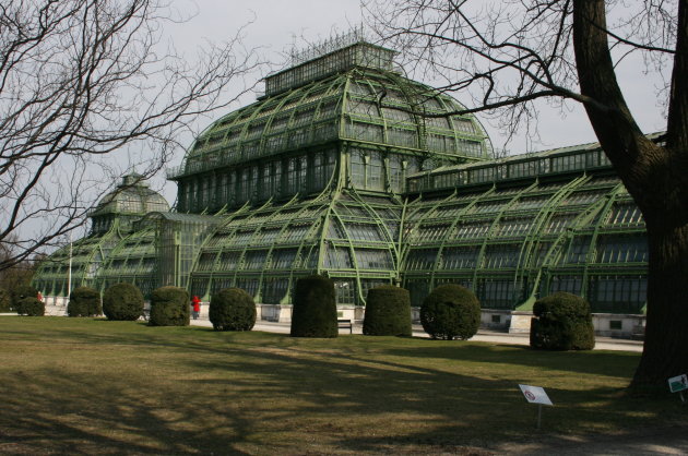 Palmenhaus (mooie Kas)