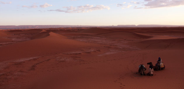 In de Sahara 2