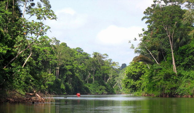 Puur natuur, Amazonegebied