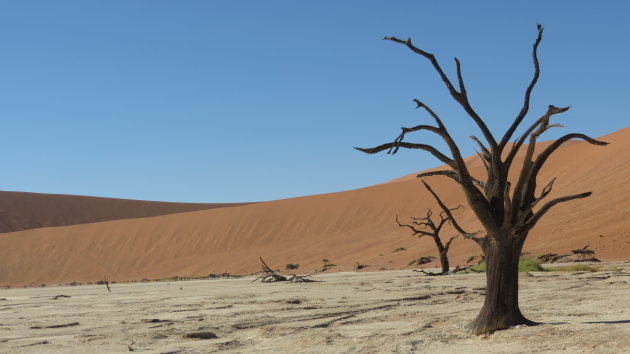 Deadvlei Namibië