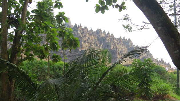 De Borobudur in het ochtendlicht