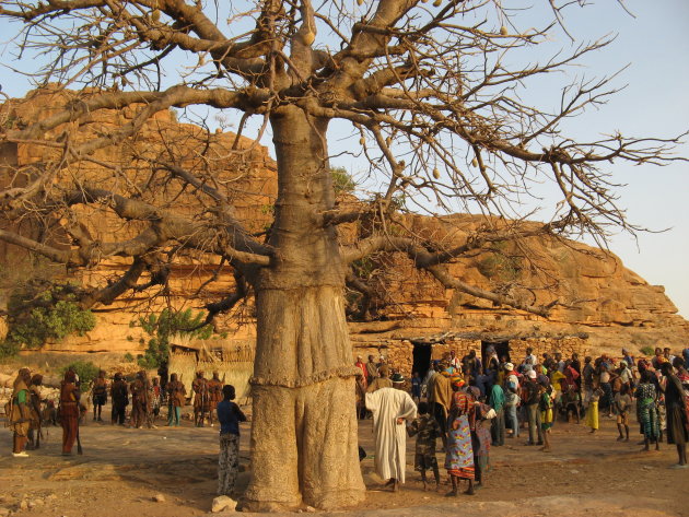 feest onder de baobabboom