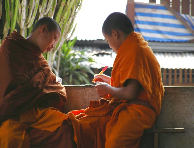 jonge monniken studeren