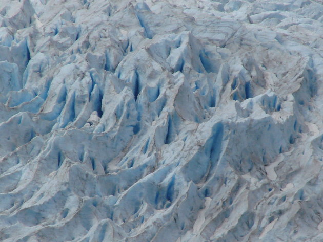 closeup Salmon Glacier