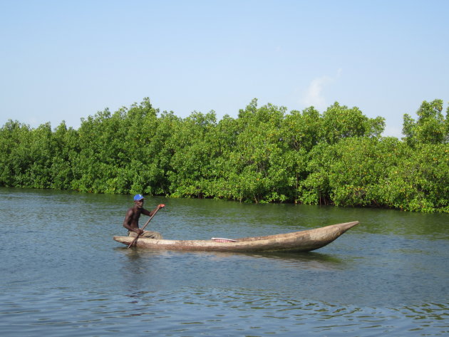 Visser op The Gambia river