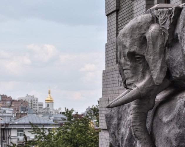 Olifant in Kiev