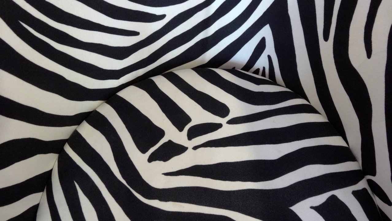 Zebra design