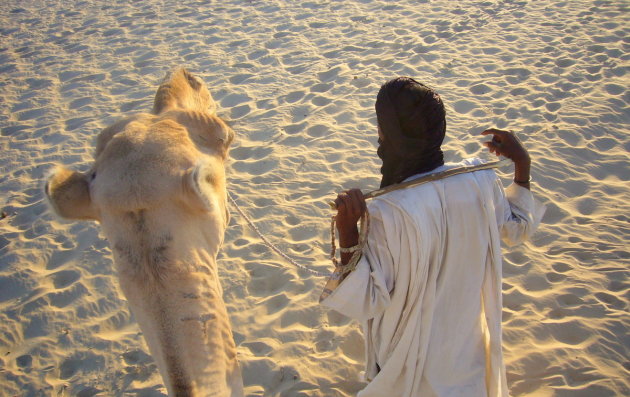 kameel en kamelenman