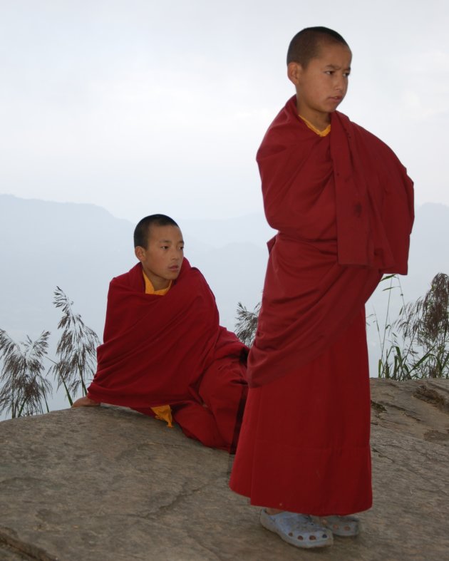 Jonge monniken in de mist