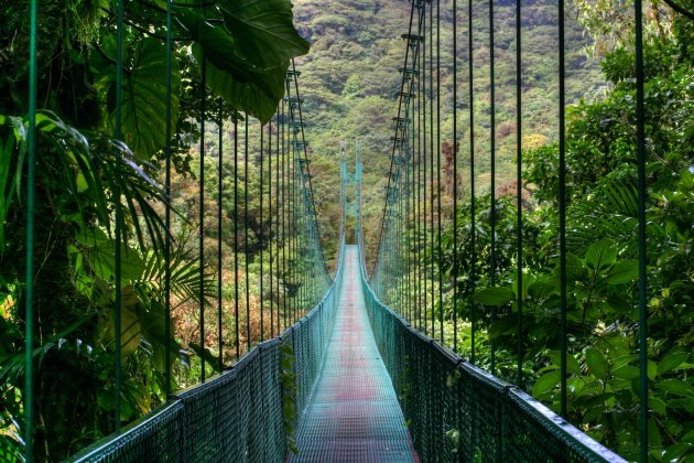 Monteverde skywalk