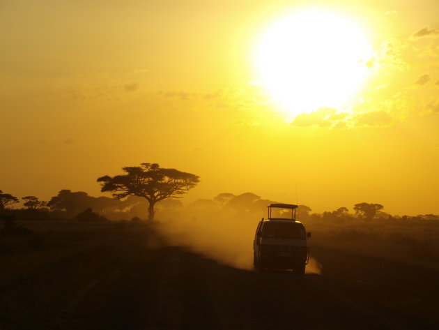 ondergaande zon tijdens safari