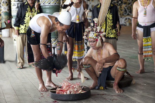Dayak-ceremonie, Kalimantan (2)
